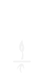 Icon of a sapling growing to symbolize your business growing with us